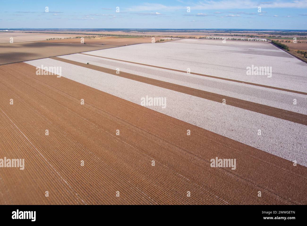 Aerial of commercial broad acre cotton fields being harvested near Dalby Queensland Australia Stock Photo