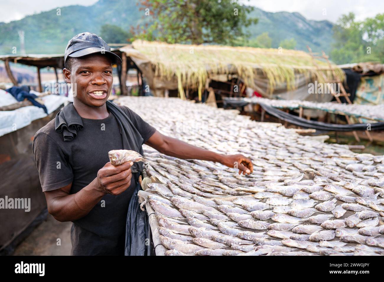 A man lays fish out to dry on the shores of Lake Chilwa in the Machinga district of Malawi. Trocaire and its local groups are helping locals patrol Lake Chilwa to ensure there is no illegal fishing. In 2015, the lake completely dried out because of climate change, which led to the loss of most species of fish, putting more pressure on another vital food source. Picture date: Tuesday March 5, 2024. Stock Photo