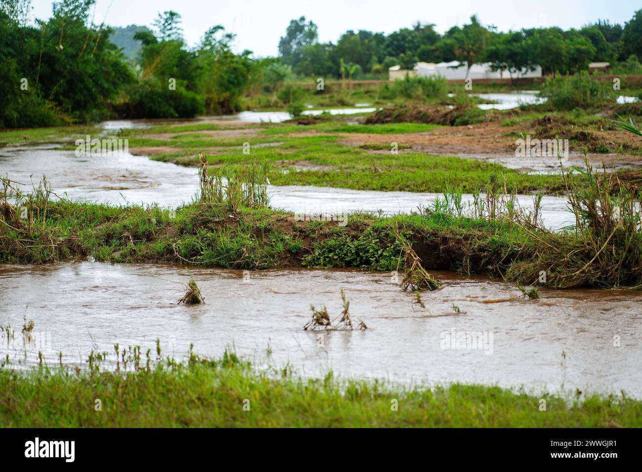 Overflow from a river in the flooding-prone regions around Lake Chilwa in the Machinga district of Malawi. Trocaire is training farmers in new diverse crops that can tolerate weather extremes a little more than maize can. Picture date: Tuesday March 5, 2024. Stock Photo
