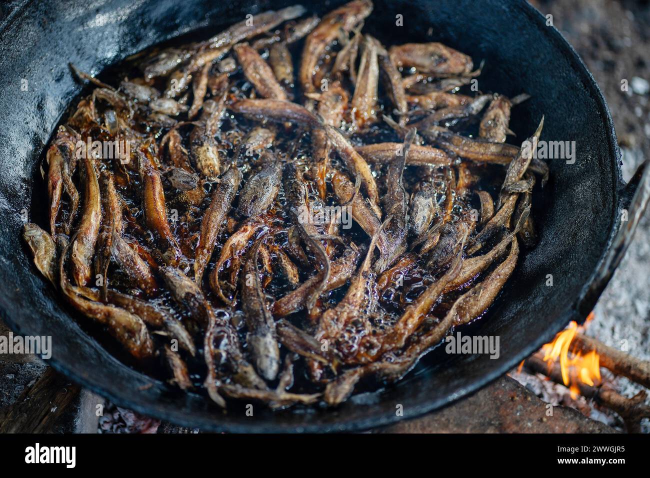 Fish are fried in oil on the shores of Lake Chilwa in the Machinga district of Malawi. Trocaire and its local groups are helping locals patrol Lake Chilwa to ensure there is no illegal fishing. In 2015, the lake completely dried out because of climate change, which led to the loss of most species of fish, putting more pressure on another vital food source. Picture date: Tuesday March 5, 2024. Stock Photo