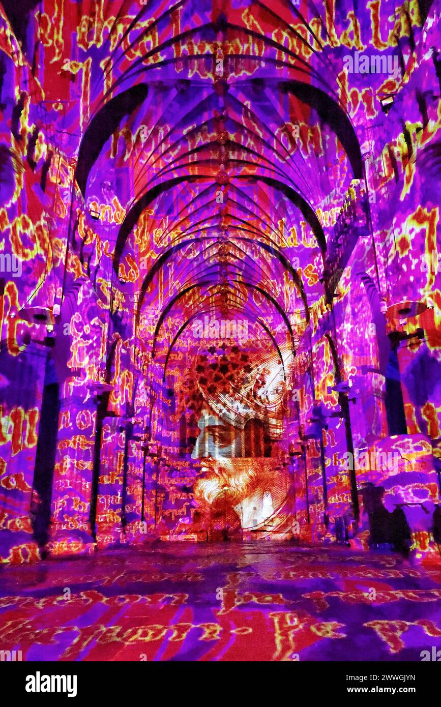 Exeter, Devon, UK. 09th Jan, 2024. immersive sound and light show, bringing to life the