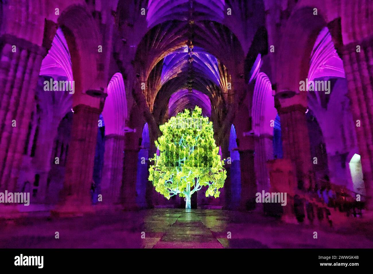 Exeter, Devon, UK. 09th Jan, 2024. immersive sound and light show, bringing to life the spectacle of the Crown Jewels and Coronations, at Exeter Cathedral. Tuesday 9 – Saturday 13 January 2024  Following its launch at the Tower of London, Exeter Cathedral will be the first tour venue to host this spectacular new sound and light show, which is inspired by the Crown Jewels and their role in the Coronation ceremony. Credit: nidpor/Alamy Live News Stock Photo