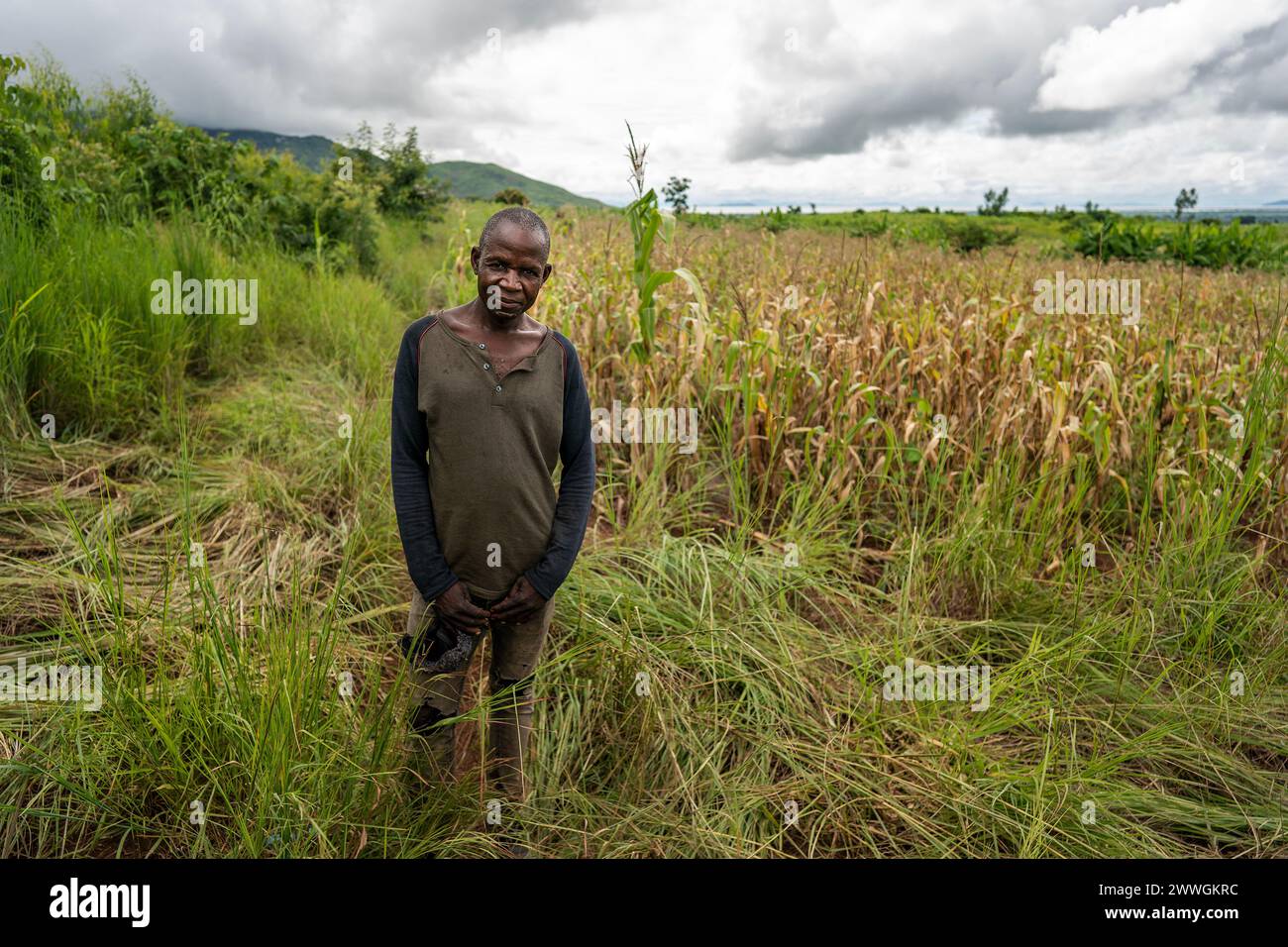 A man among failing maize crops in the village of Manduwasa in the Machinga region of Malawi. Picture date: Monday March 4, 2024. Stock Photo