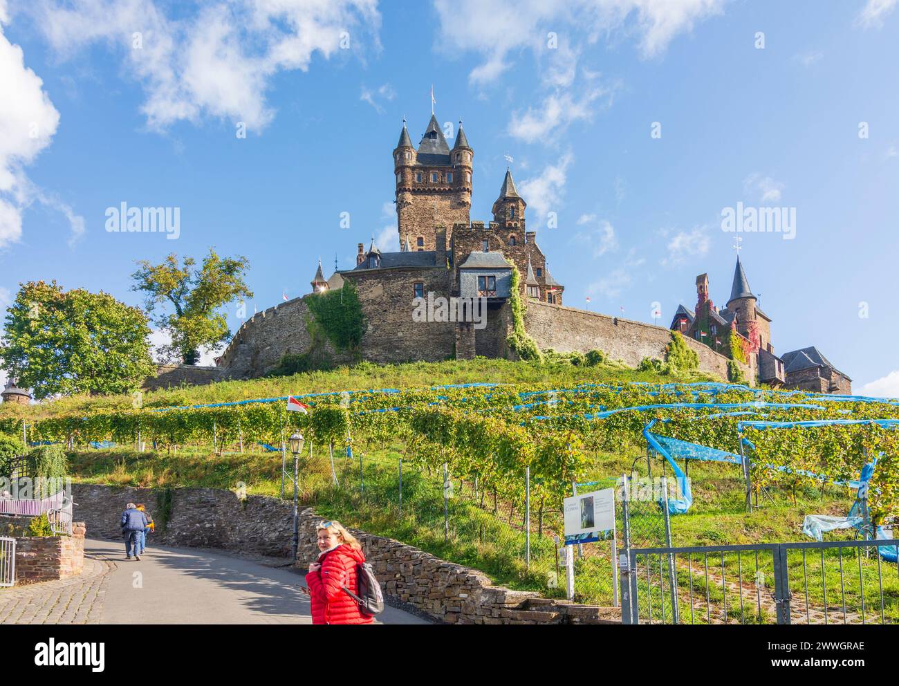 Cochem: Reichsburg Cochem Castle, vineyard in Mosel, Rheinland-Pfalz, Rhineland-Palatinate, Germany Stock Photo