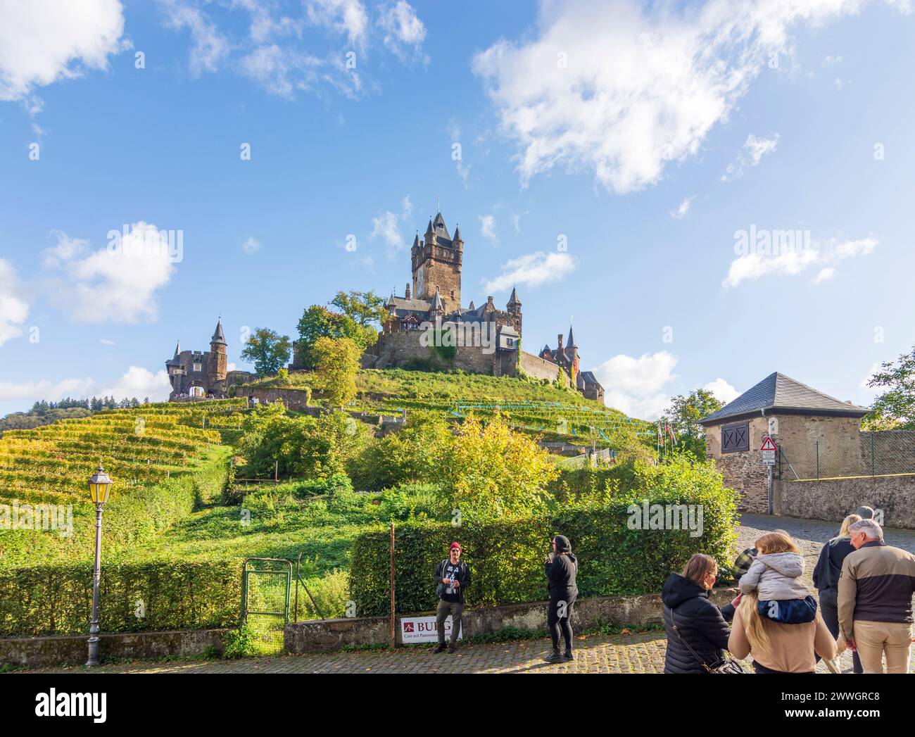 Cochem: Reichsburg Cochem Castle, vineyard in Mosel, Rheinland-Pfalz, Rhineland-Palatinate, Germany Stock Photo