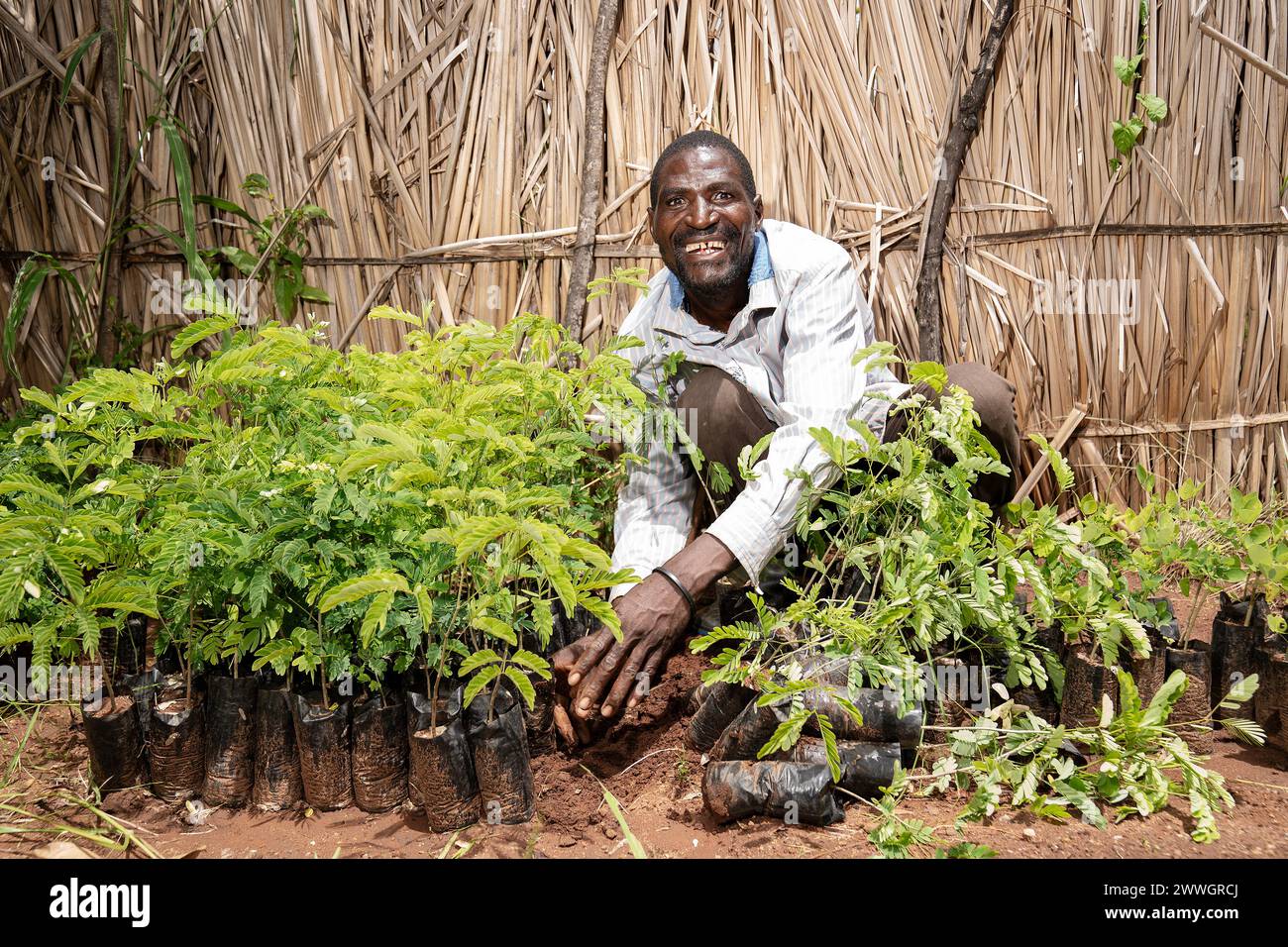 A farmer with tree seedlings in the flooding-prone regions around Lake Chilwa in the Machinga district of Malawi. Trocaire is supplying communities with tree seedlings to reforest their villages. Picture date: Tuesday March 5, 2024. Stock Photo