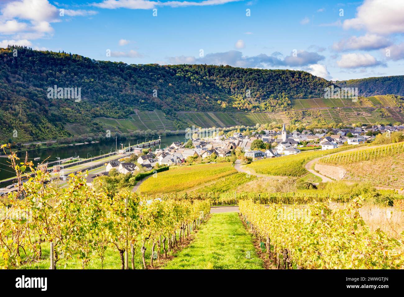 Bruttig-Fankel: village Fankel, vineyard in Mosel, Rheinland-Pfalz, Rhineland-Palatinate, Germany Stock Photo