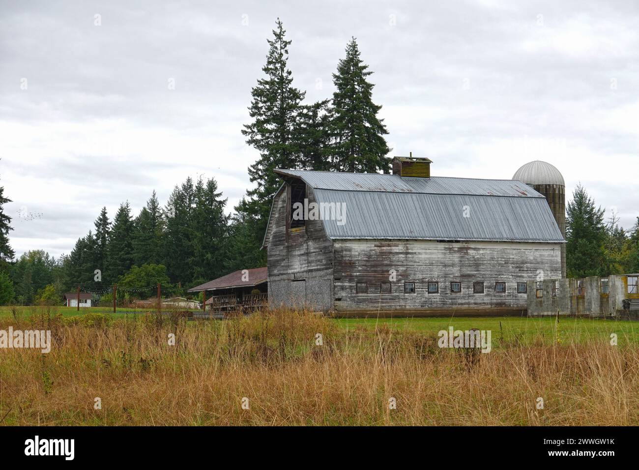 Old wooden barn and storage silo, USA Stock Photo