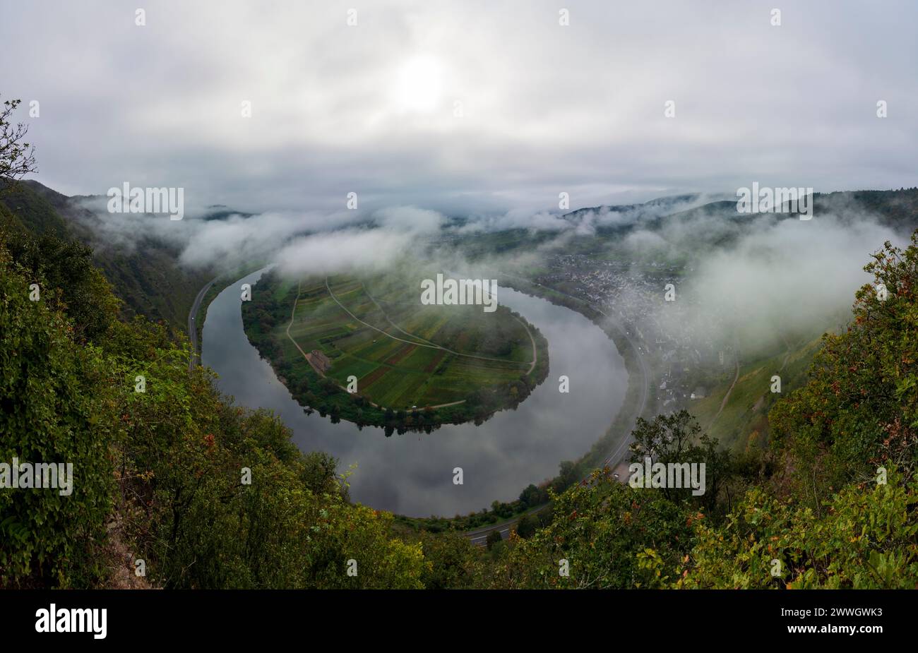 Bremm: river Mosel (Moselle), Moselle loop, mist in Mosel, Rheinland-Pfalz, Rhineland-Palatinate, Germany Stock Photo