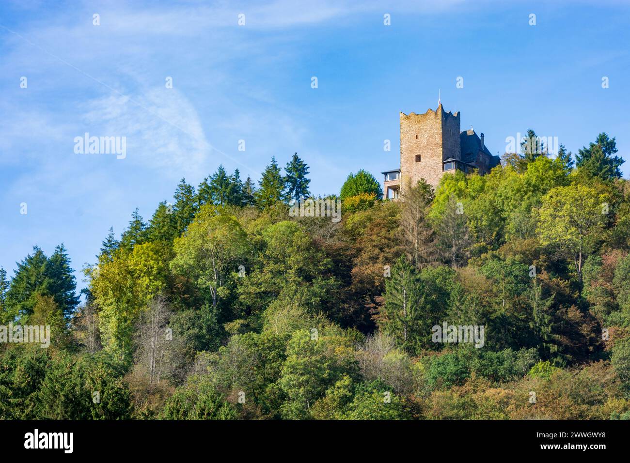 Alf: Arras Castle in Mosel, Rheinland-Pfalz, Rhineland-Palatinate, Germany Stock Photo