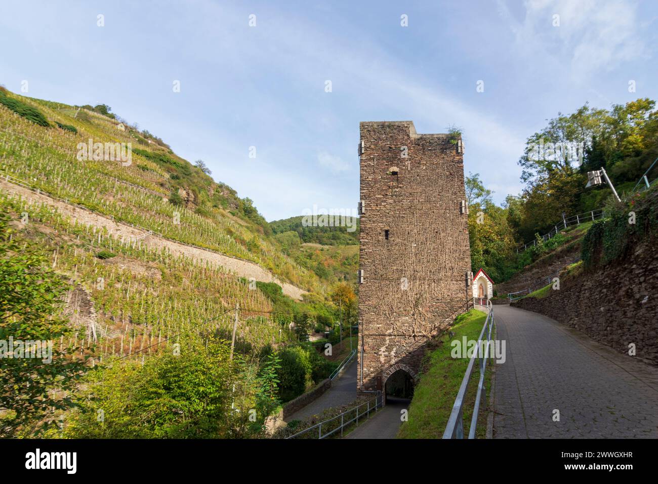 Zell: tower Viereckiger Turm, vineyard in Mosel, Rheinland-Pfalz, Rhineland-Palatinate, Germany Stock Photo