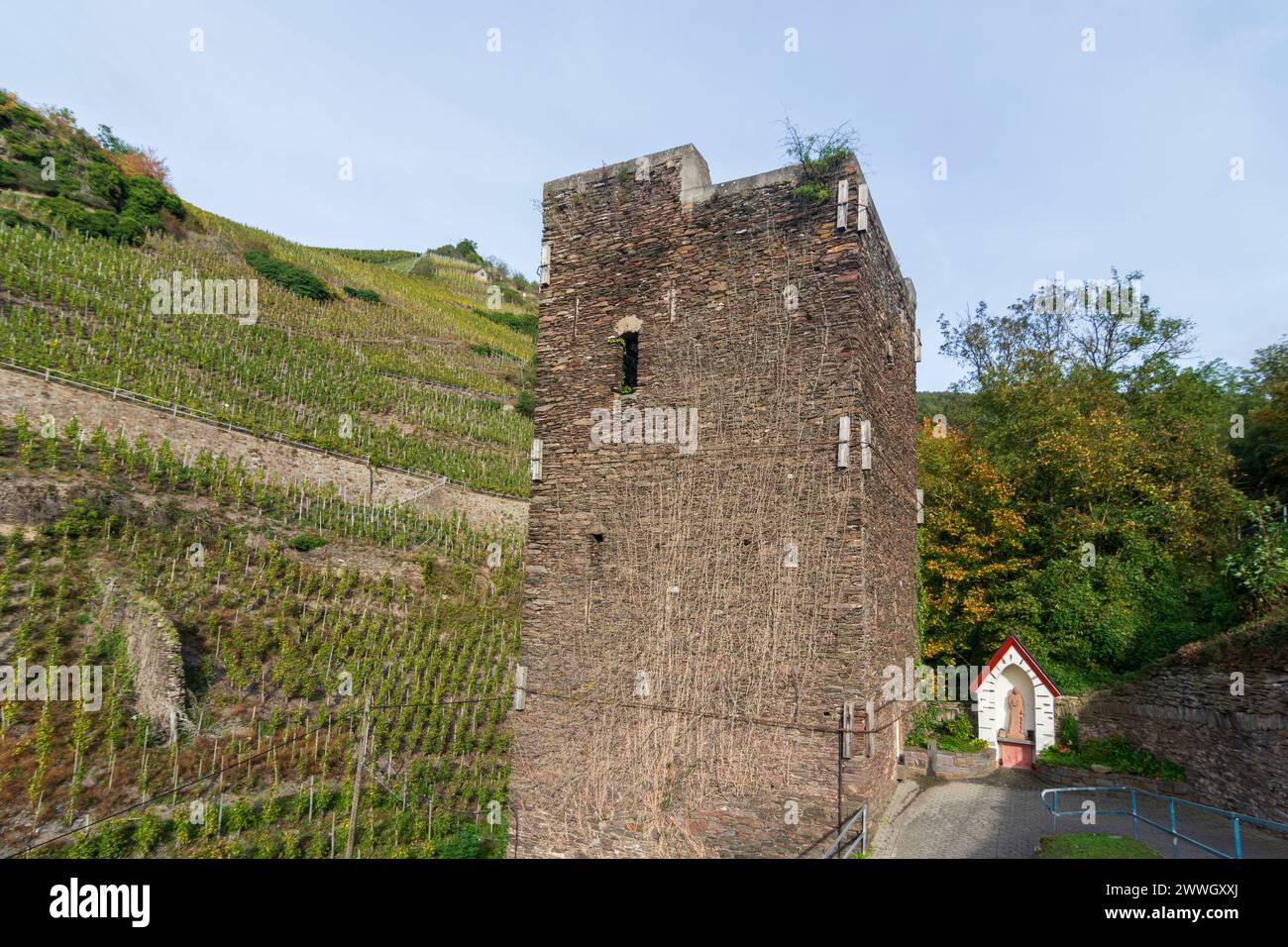 Zell: tower Viereckiger Turm, vineyard in Mosel, Rheinland-Pfalz, Rhineland-Palatinate, Germany Stock Photo