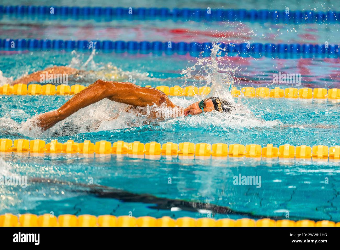 Ahmed JAOUADI (TUN), Men 800m freestyle swimming final, during the