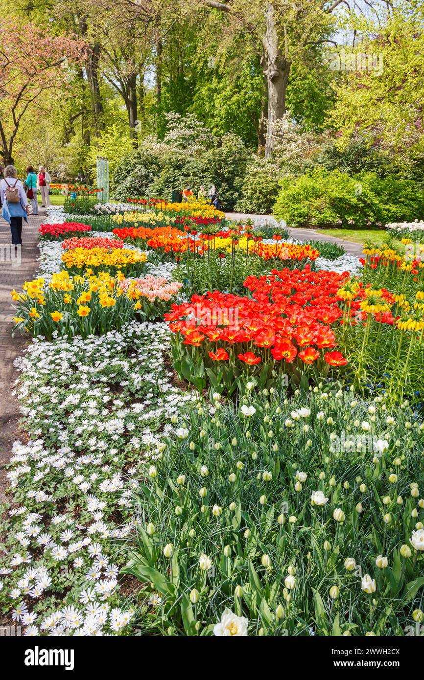 Colourful flower beds and borders at the Keukenhof Gardens, Lisse ...