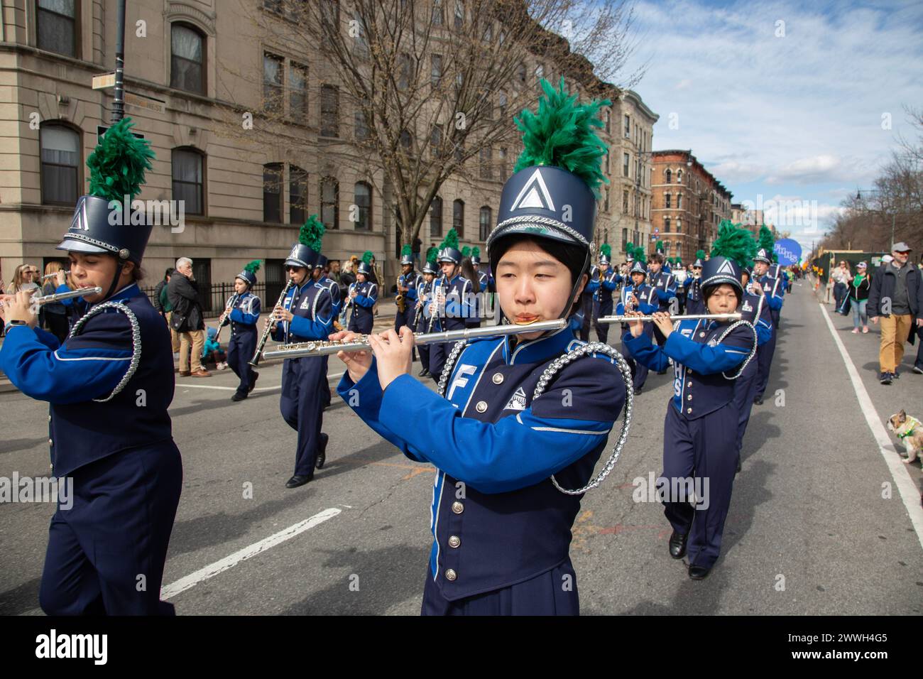 49th annual Saint Patrick's Day Parade in 2024 in Park Slope Brooklyn, New York.  Fort Hamilton High School Marching Band performs at the parade. Stock Photo