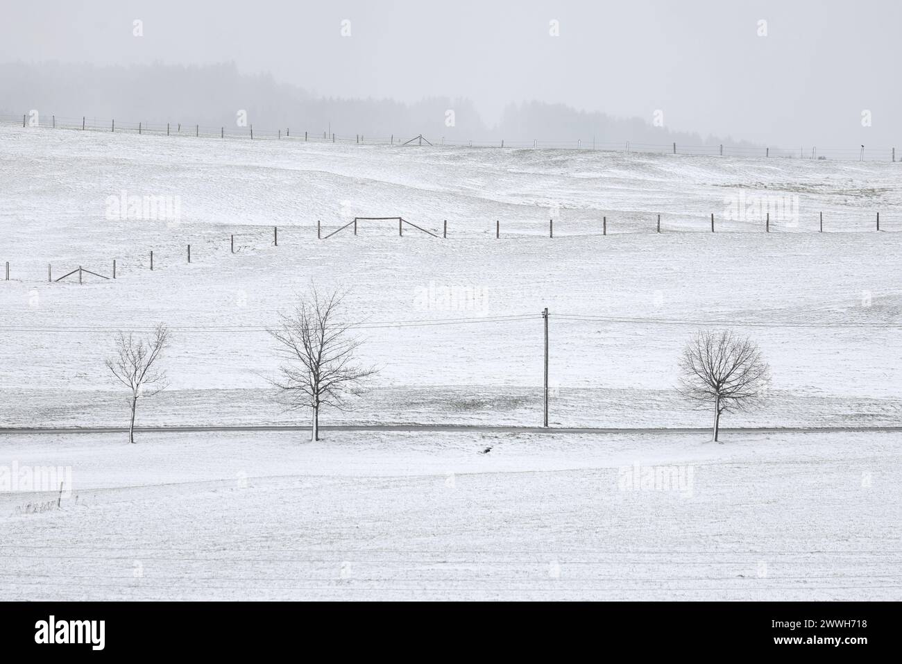 24 March 2024, Bavaria, Stötten: The meadows of the Allgäu foothills of the Alps are covered in snow. Photo: Karl-Josef Hildenbrand/dpa Stock Photo