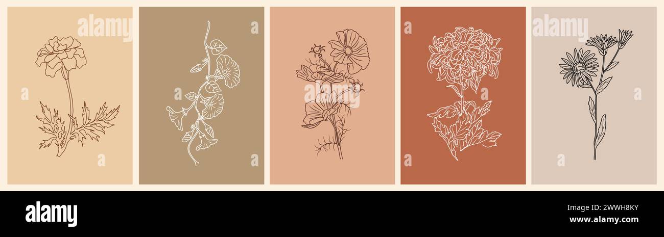 Set of botanical line art floral drawings. Stock Vector