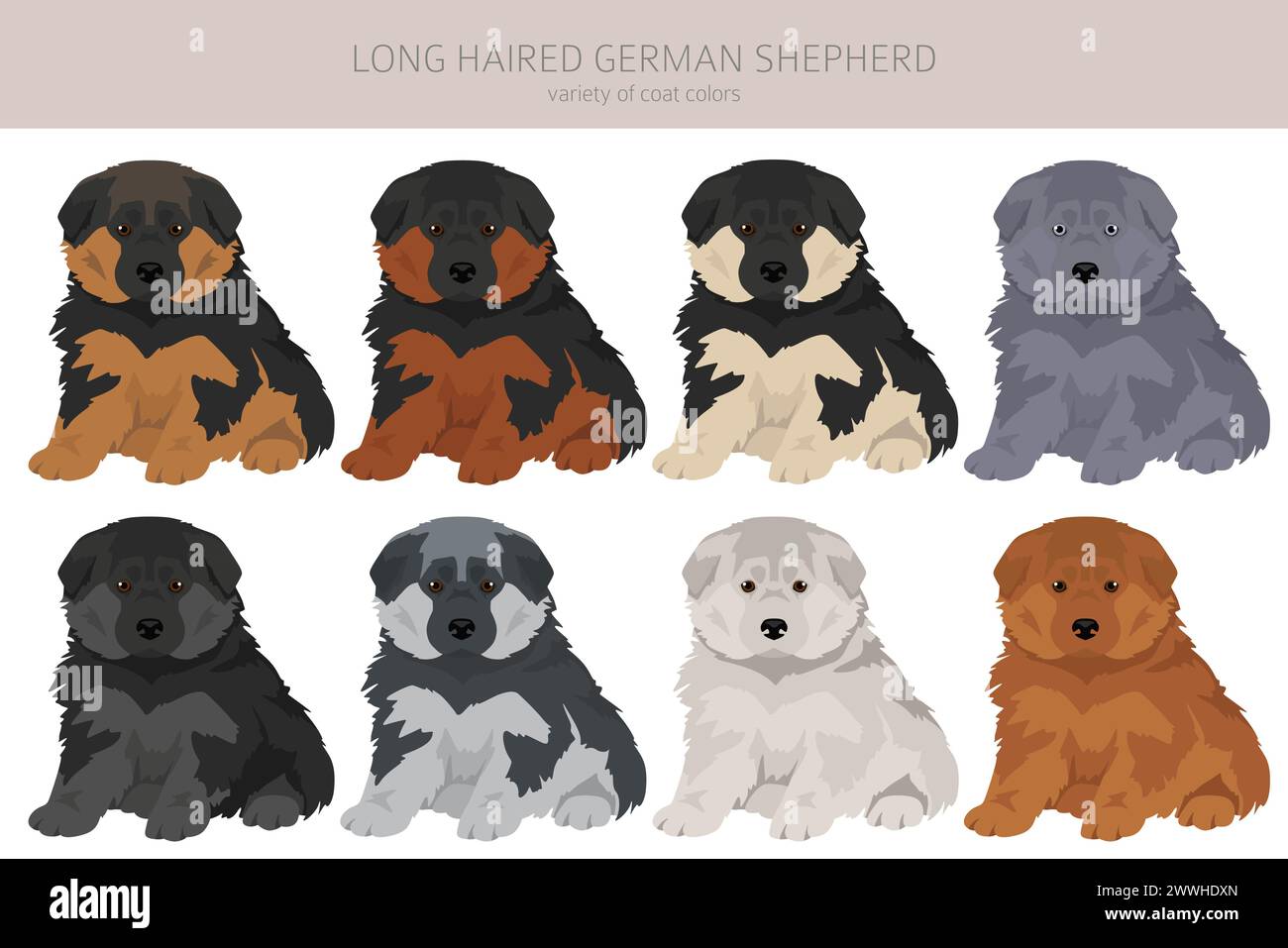 Long haired german shepherd puppy dog in different coat colors clipart ...