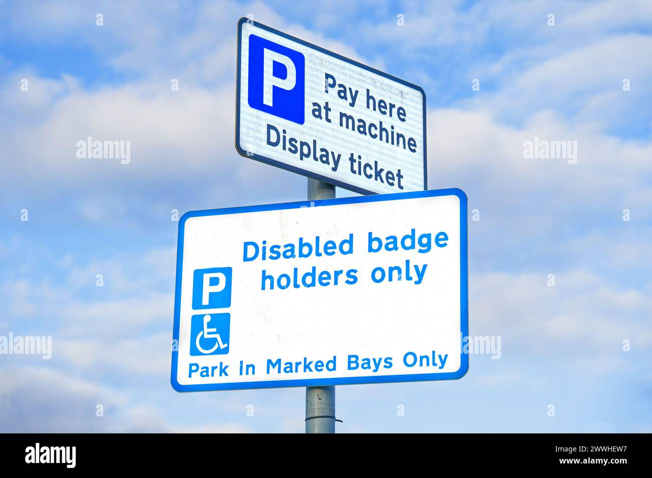 Disabled blue badge holder parking sign for driver Stock Photo Alamy