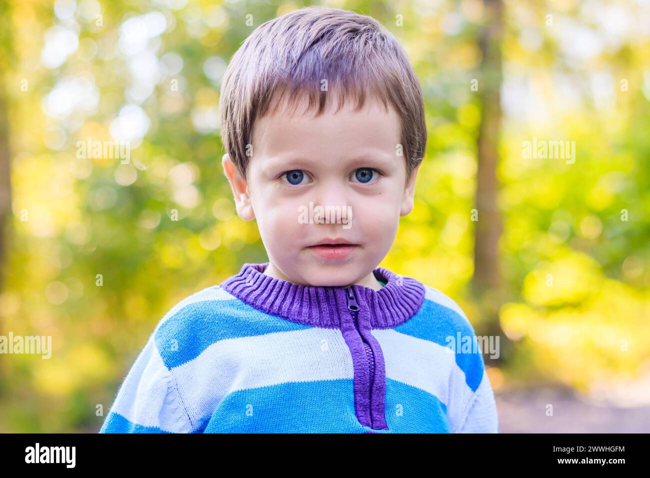 Portrait of a boy in a sweater . Little boy portrait. Beautiful child