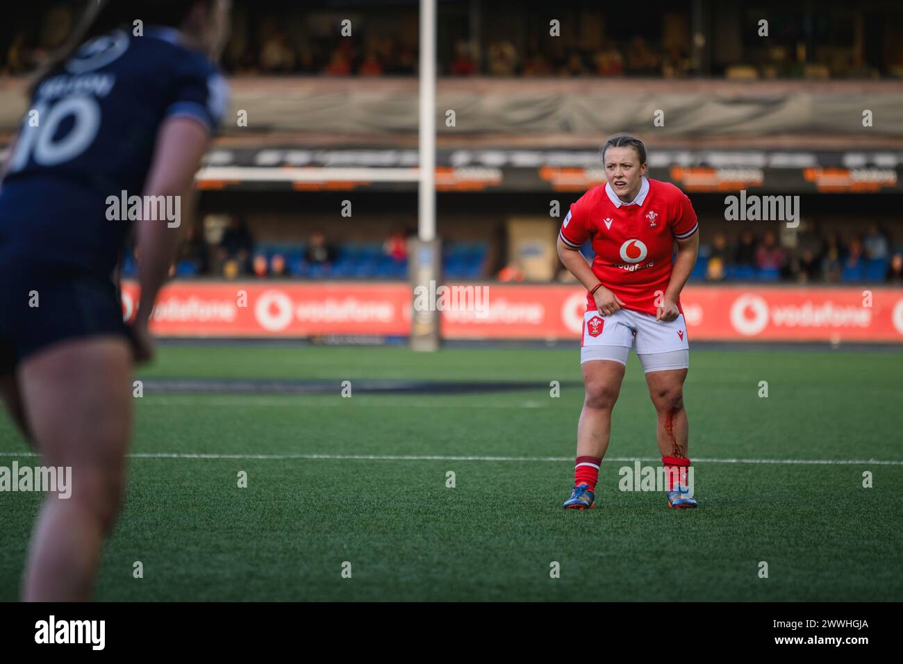 Cardiff, Wales. 23rd March 2024. Lleucu George during the Women’s Six Nations rugby match, Wales versus Scotland at Cardiff Park Arms Stadium in Cardiff, Wales. Credit: Sam Hardwick/Alamy Live News. Stock Photo