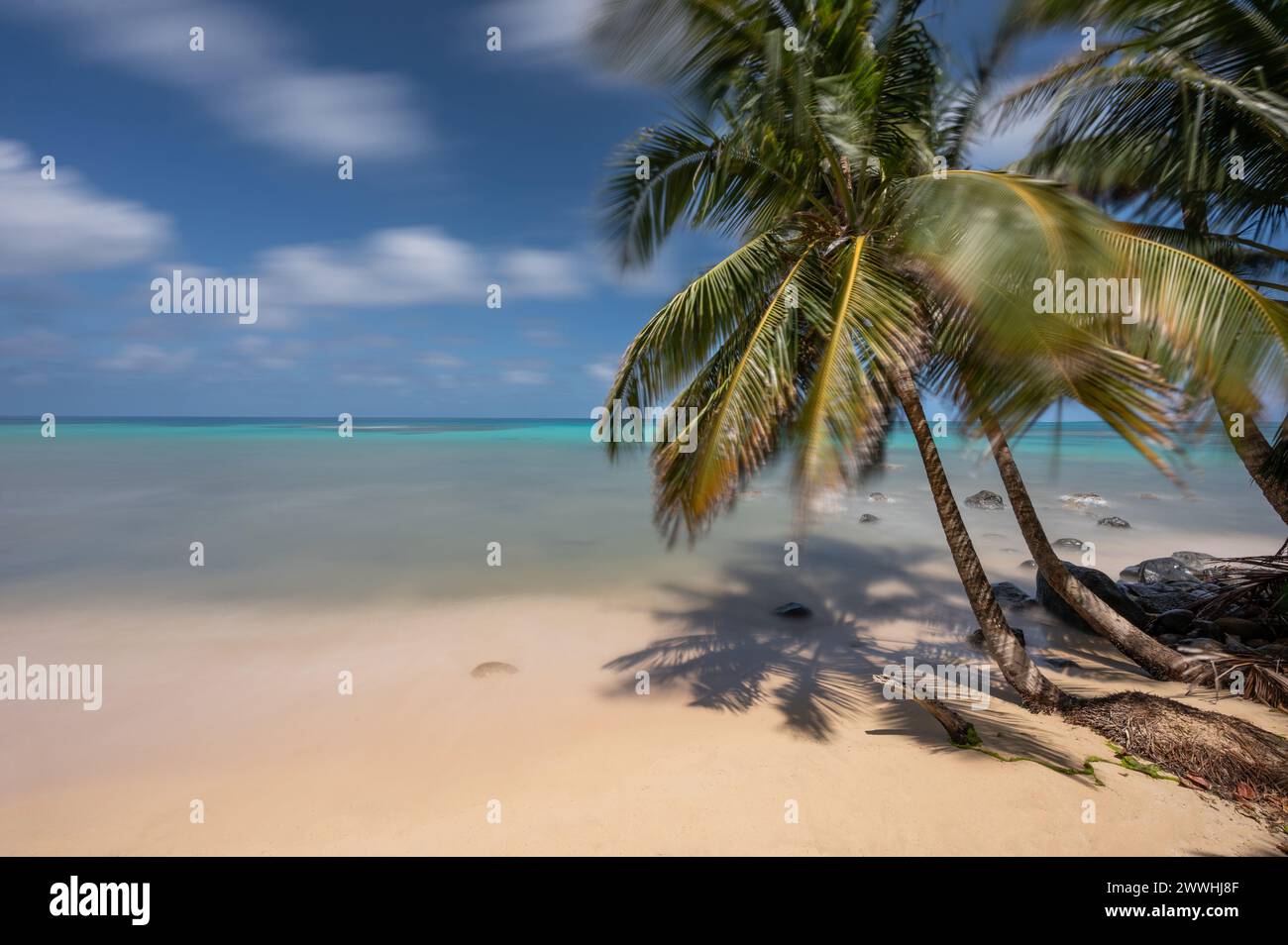 Caribbean tropical beach resort on bright sunny day.  Holiday vacation background Stock Photo