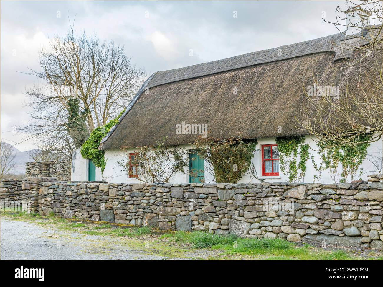 Traditional Irish cottage with a thatched roof and green painted front door Stock Photo