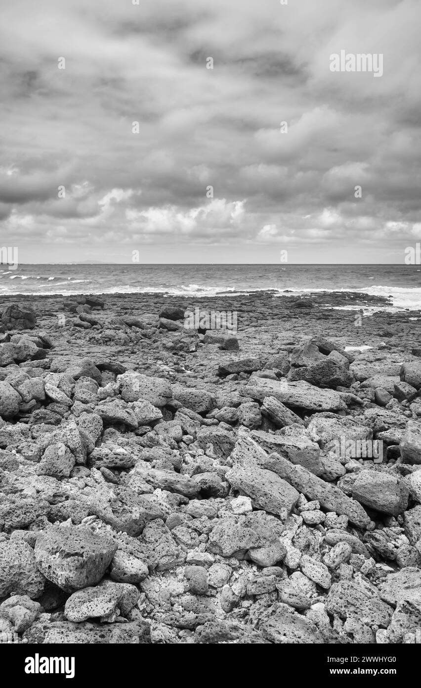 Black and white photo of a volcanic beach, Galapagos Islands, Ecuador