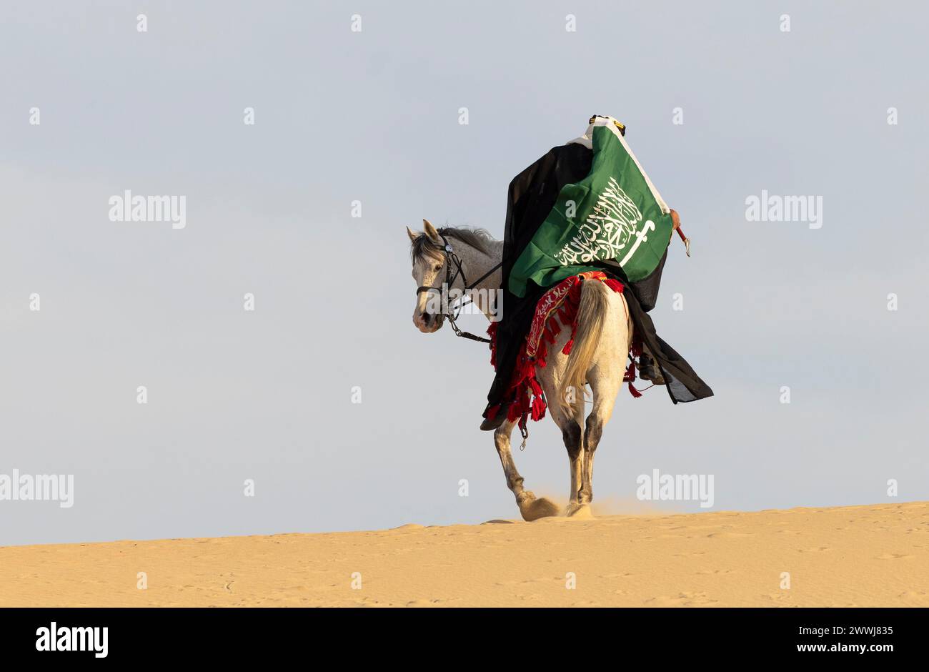 Saudi man in traditional clothing with his white stallion Stock Photo