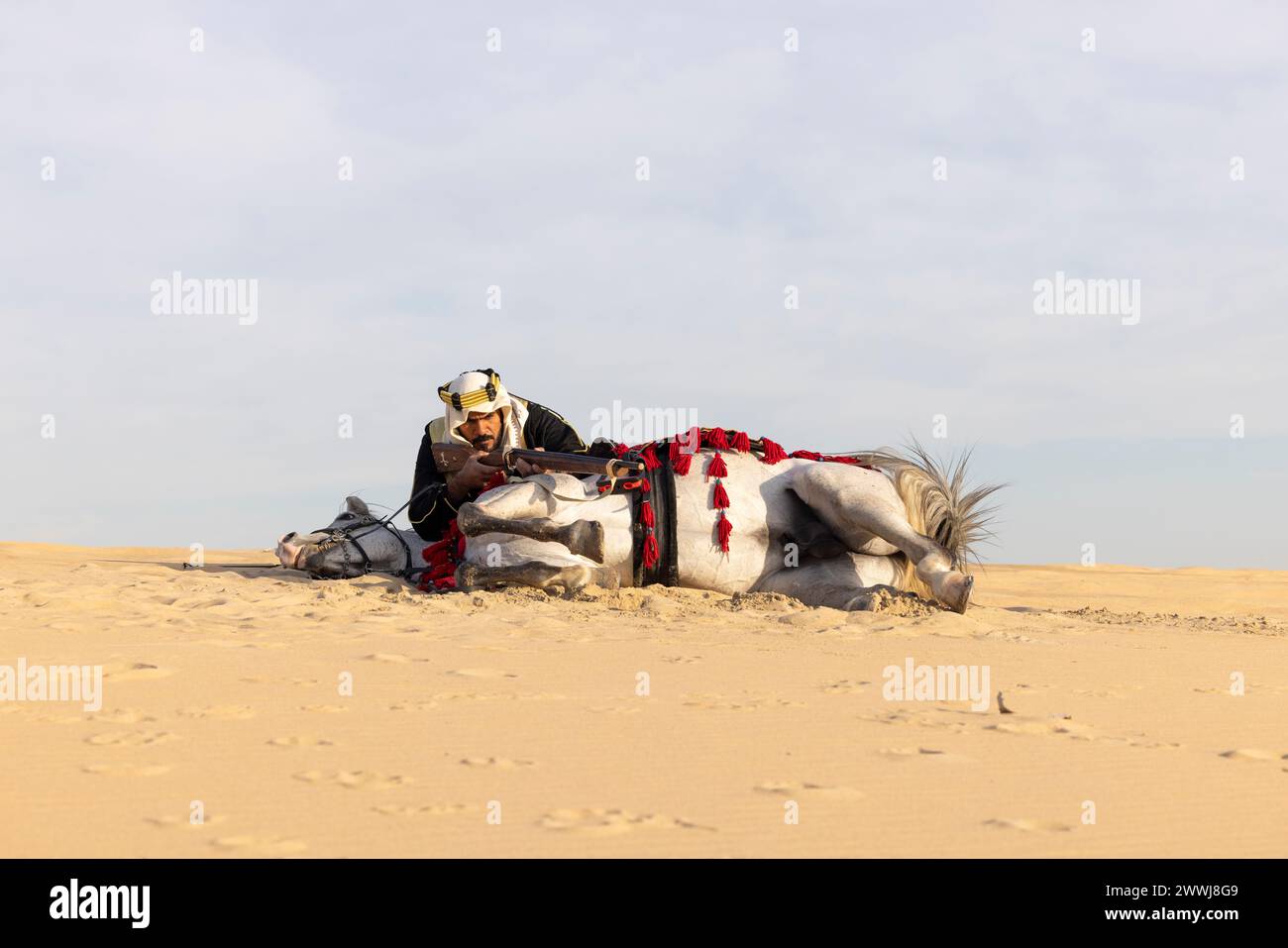 Saudi man in traditional clothing with his white stallion, aiming a hunting rifle from behind his horse Stock Photo