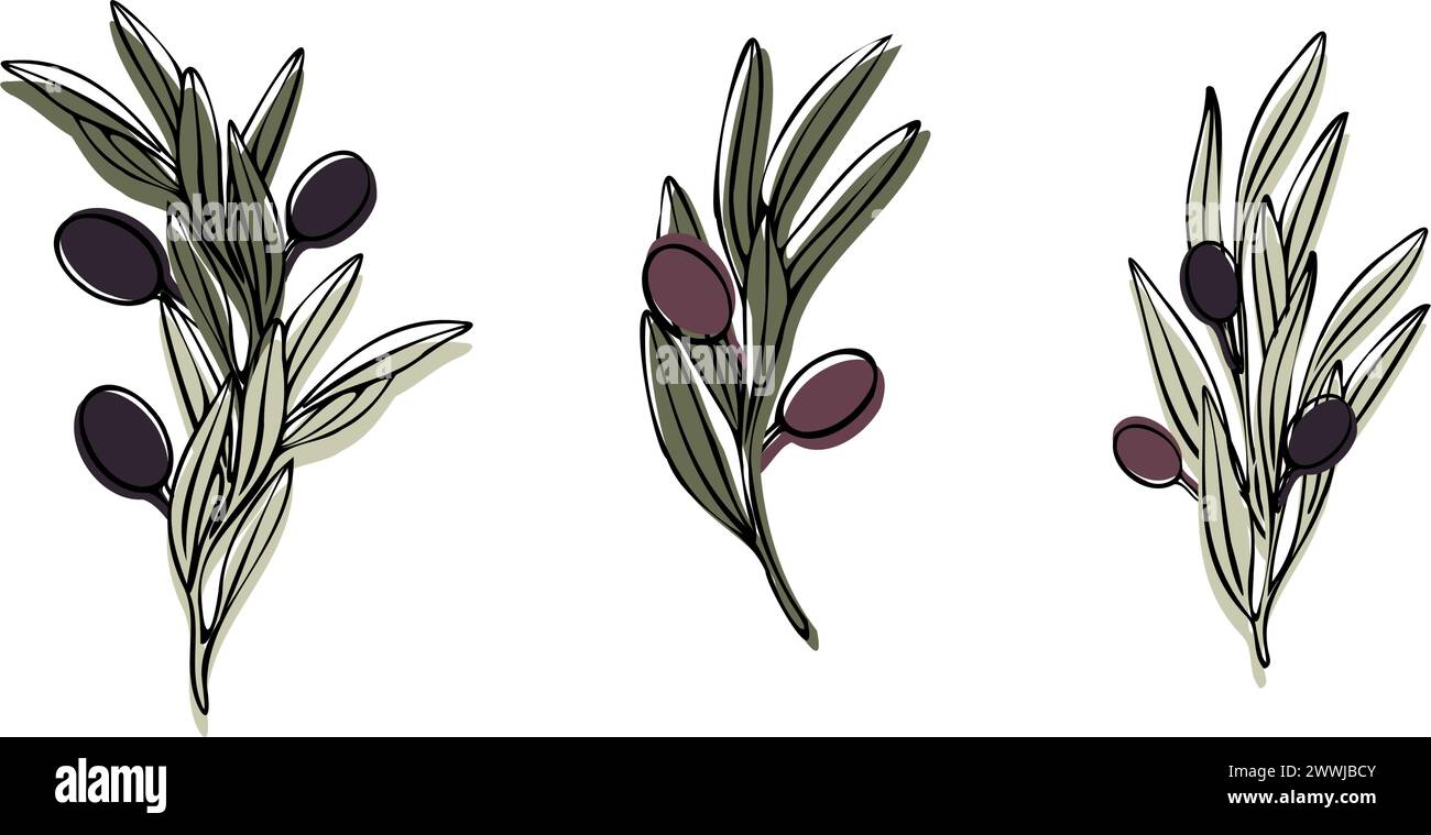 Vector olive tree branch with leaves and olives fruit. Hand painted ...