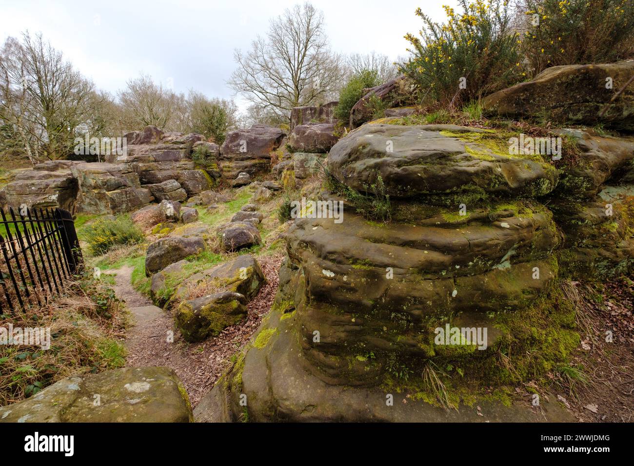 Ancient Sandstone rock formations at Tunbridge Wells Rusthall Common ...