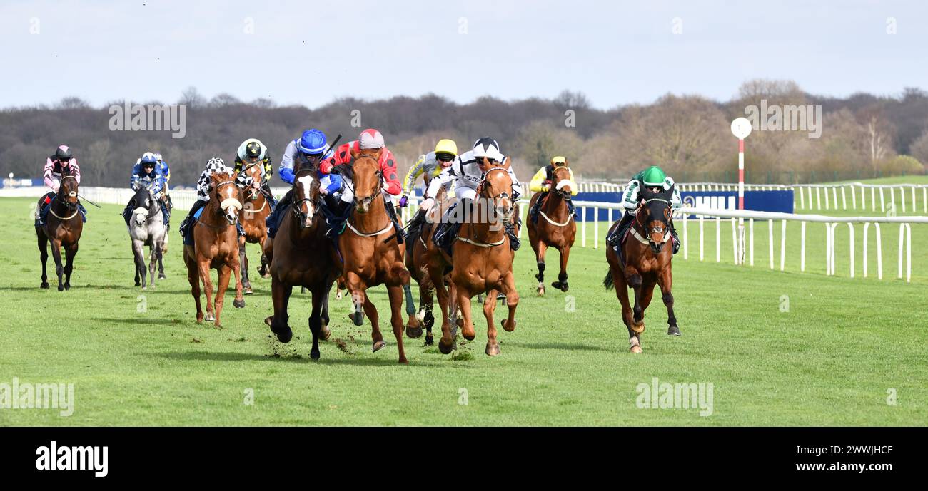 jockey Brandon Wilkie and horse Look Back Smiling Stock Photo Alamy