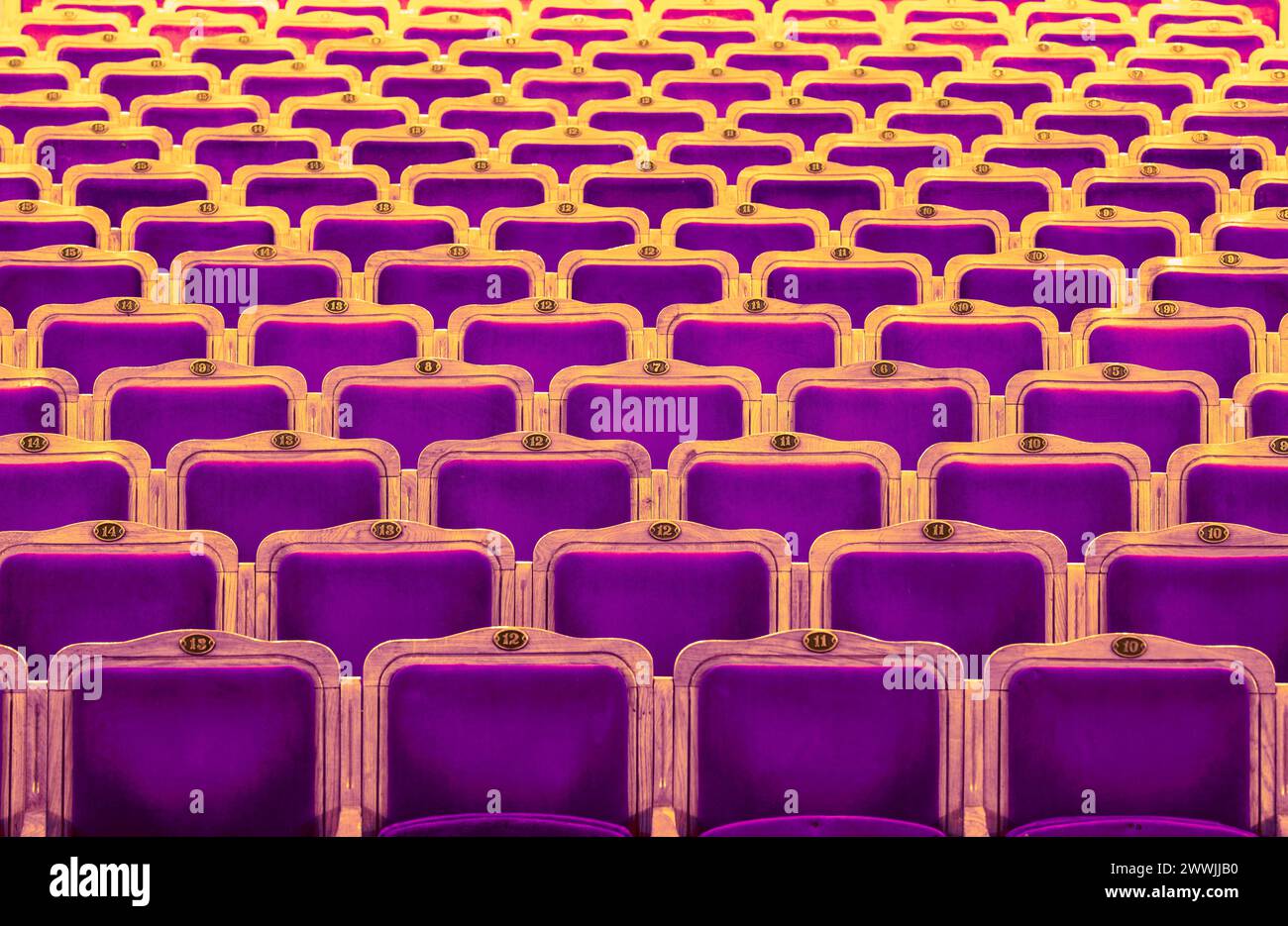 Row of purple seats in theatre Stock Photo Alamy