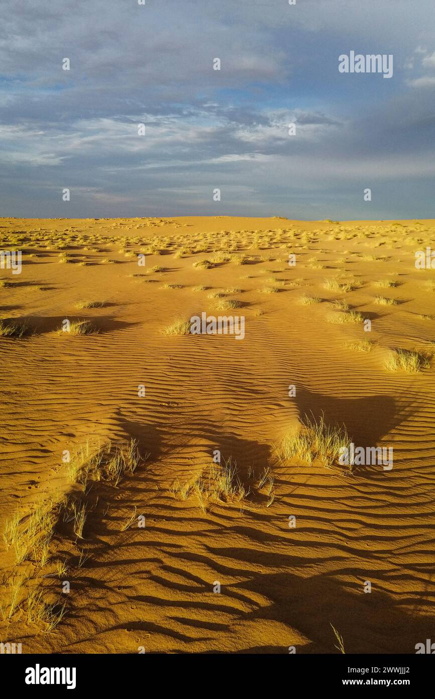 Mauritania, surroundings of Ben Amera, landscape Stock Photo