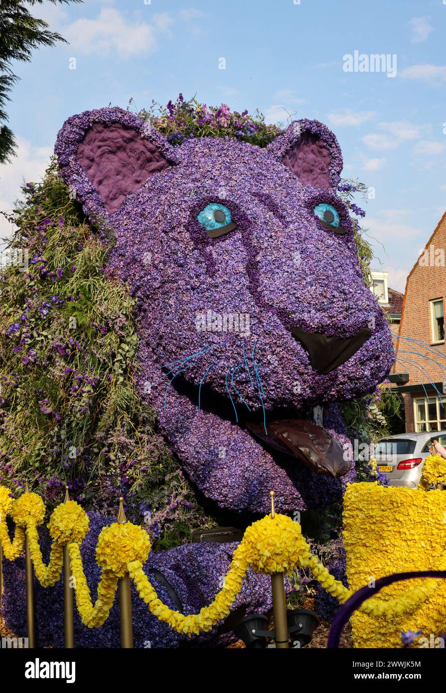 Noordwijkerhout, Netherlands - April 21, 2023: A lion made of tulips and hyacinths presented before the evening illuminated Bollenstreek flower parade Stock Photo