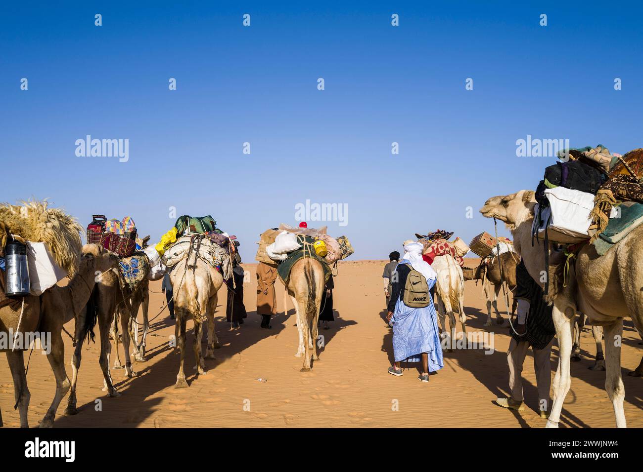 Mauritania, surroundings of Chinguetti, camel caravan Stock Photo