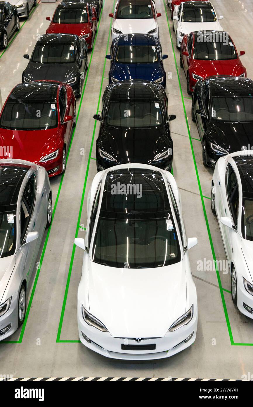 Tesla Factory Warehouse Tilburg, Netherlands. Brand new Tesla models, stored inside their factory warehouse, waiting for delivery to customers. Tilburg Tesla Motors Noord-Brabant Nederkand Copyright: xGuidoxKoppesx Stock Photo