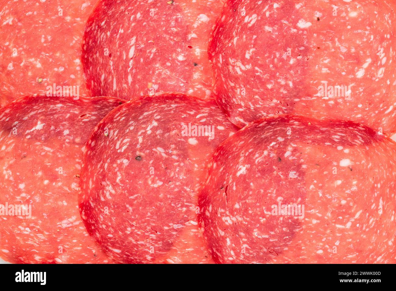 hungarian salami on the white background Stock Photo