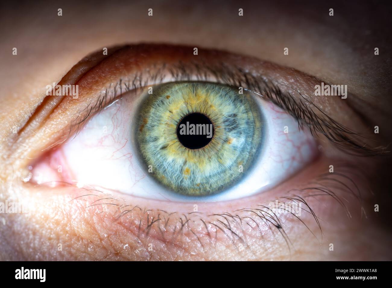 Description: Female Blue-Green Colored Eye with brown pigment spots. Pupil Closed. Close Up. Structural Anatomy. Human Iris Macro Detail. Stock Photo