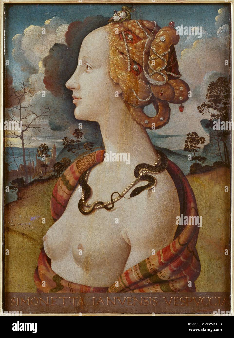 Simonetta Vespucci portrait woman - Piero di Cosimo Stock Photo