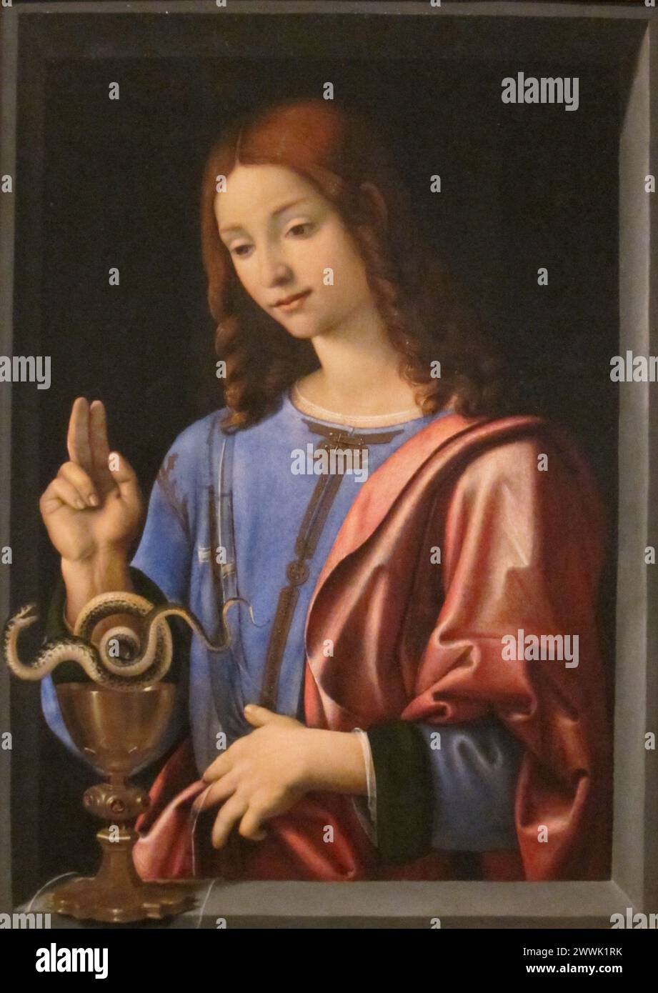 St. John the Evangelist, oil on panel, 1504-6, Honolulu Museum of Art, Piero di Cosimo Stock Photo