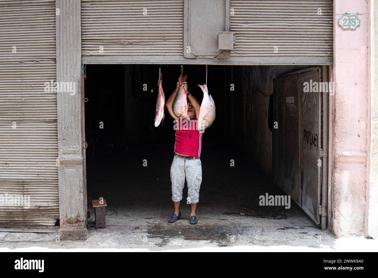 Cuban man hangs different types fish to sell at a market in Havana, Cuba Stock Photo