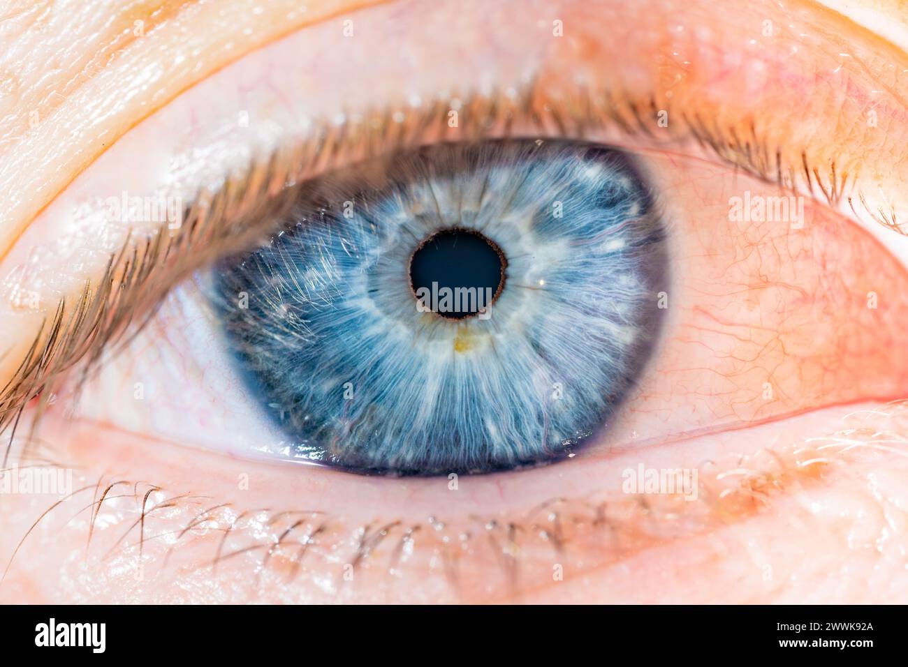 Description: Male Blue Colored Eye With Long Lashes Close Up. Structural Anatomy. Human Iris Super Macro Detail. Stock Photo
