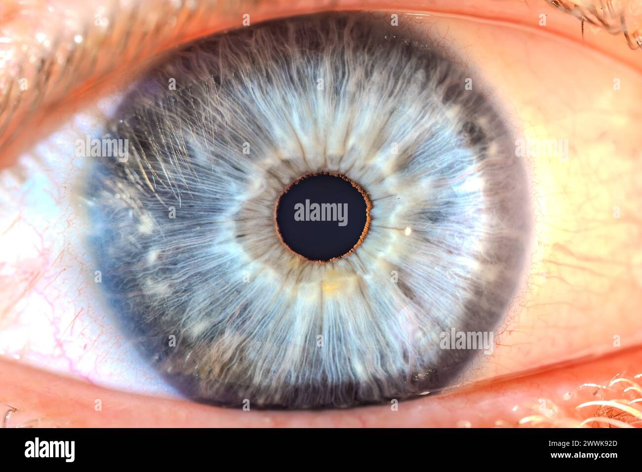 Description: Male Blue Colored Eye With Long Lashes Close Up. Structural Anatomy. Human Iris Super Macro Detail. Stock Photo