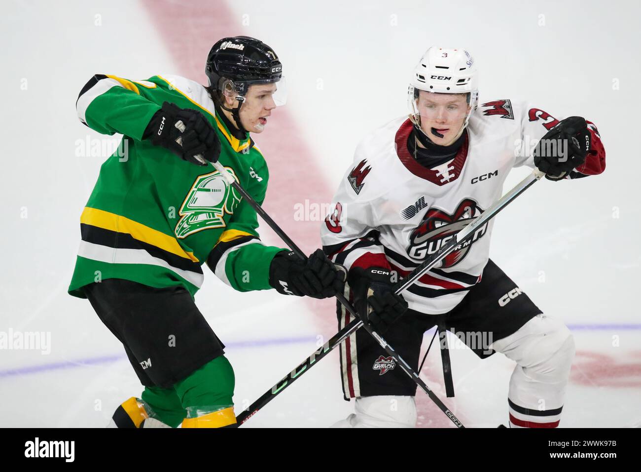 London, Canada. 24th Mar, 2024. The London Knights defeat the Guelph Storm 3-0 on the last game of the 2023-2024 season. Easton Cowan (7) of London Knights and Rowan Topp (3) of Guelph Storm after a face-off. (EDITORIAL ONLY) Credit: Luke Durda/Alamy Live News Stock Photo
