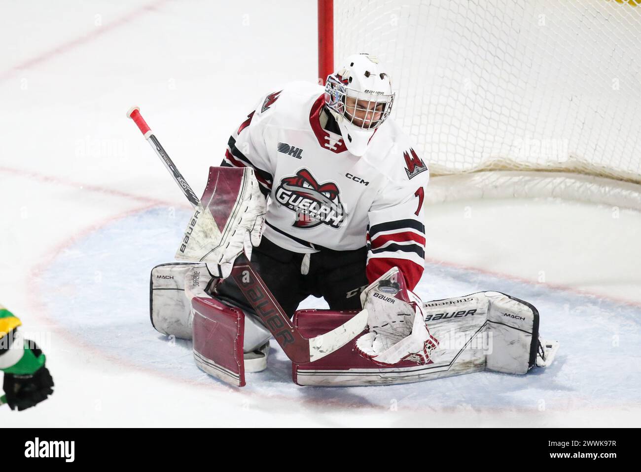 London, Canada. 24th Mar, 2024. The London Knights defeat the Guelph Storm 3-0 on the last game of the 2023-2024 season. Damian Slavik (1) of Guelph Storm makes a save during the third period.(EDITORIAL ONLY) Credit: Luke Durda/Alamy Live News Stock Photo