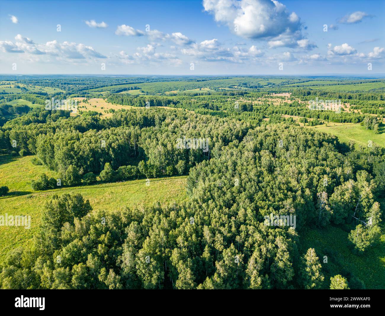 Observing animals and their migrations in their natural habitat using drones, aerial view Stock Photo