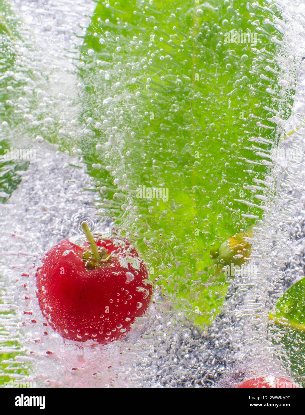 The abstract background of ice structure, Fruits, leaves, Ice, Vibrant Stock Photo