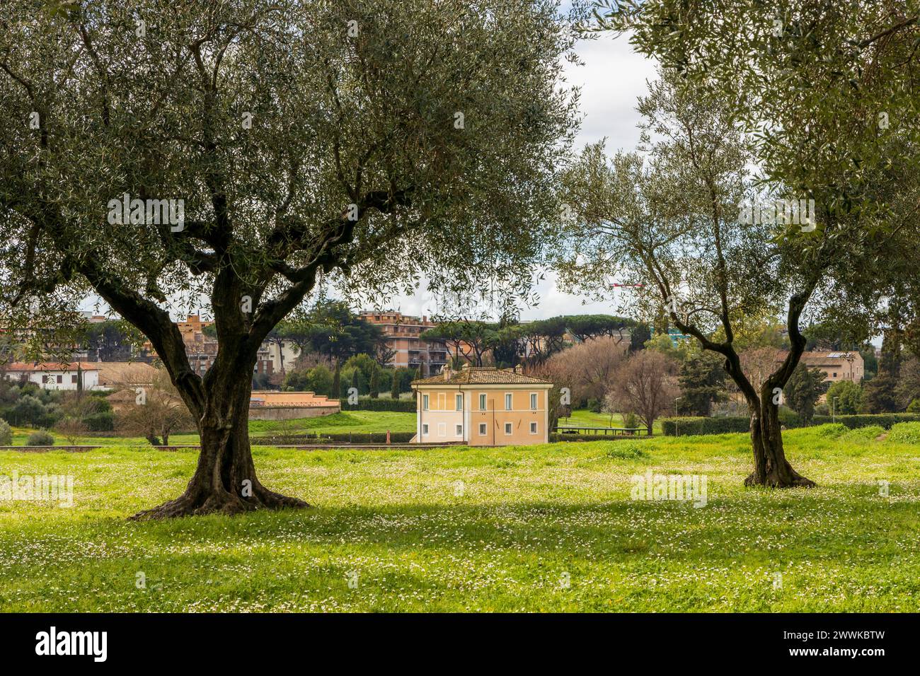 Scenic landscape in the Park of the Appian Way in Rome, Italy Stock Photo